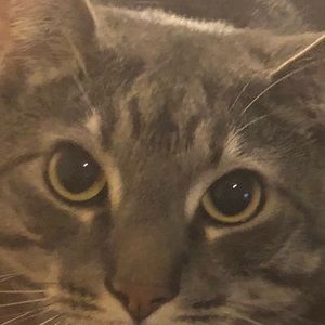 Meet your Posher, Zhongtian